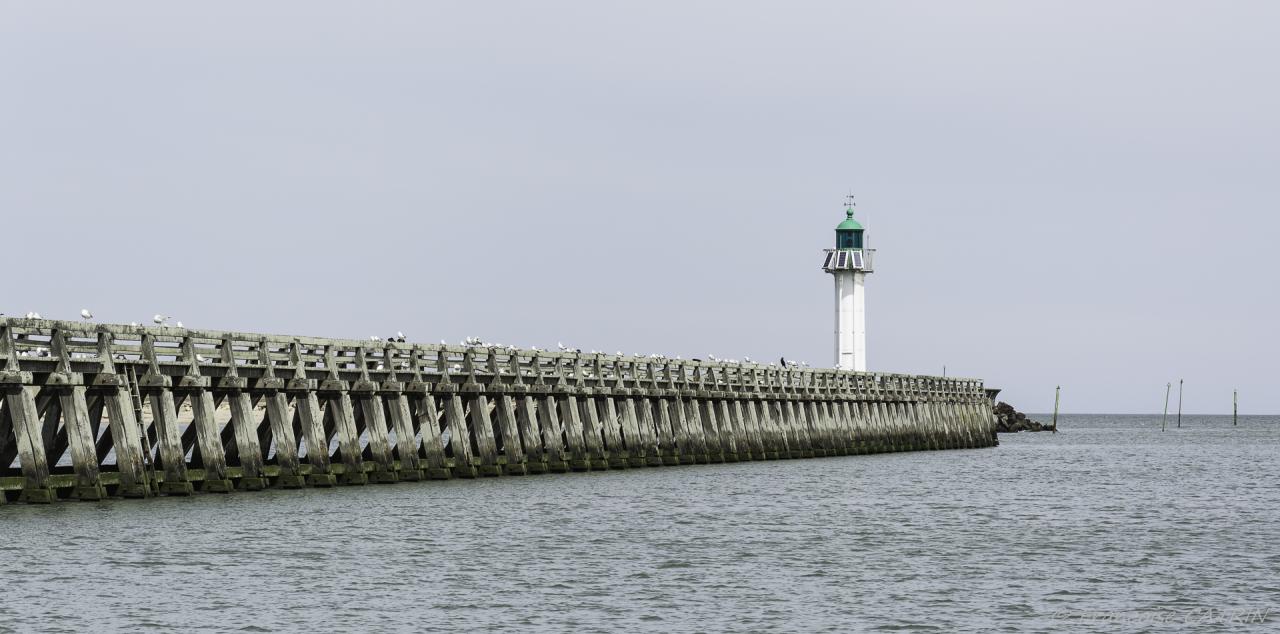 02 Trouville Balade en bateau (2)