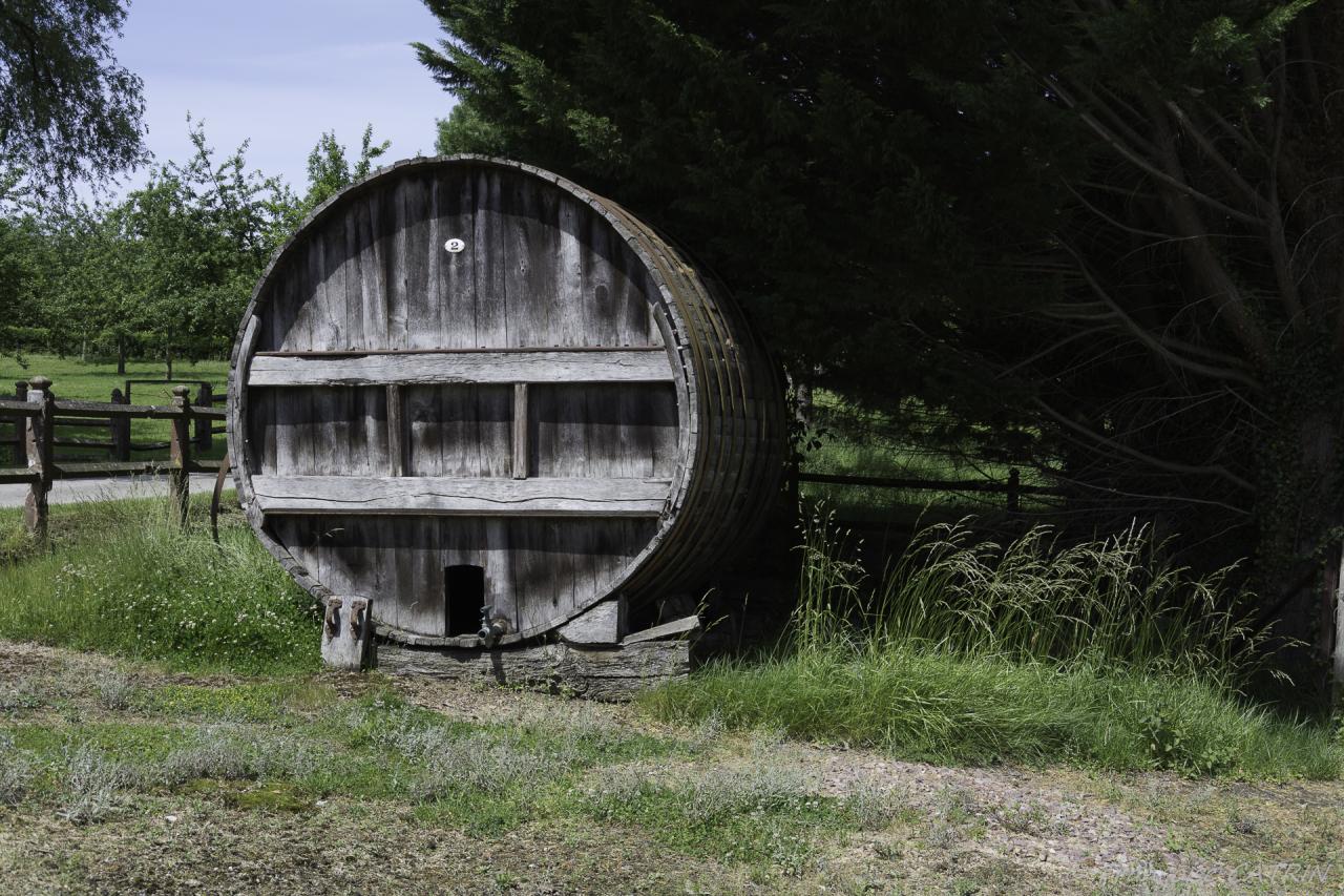 04 Visite de la Distillerie (12)