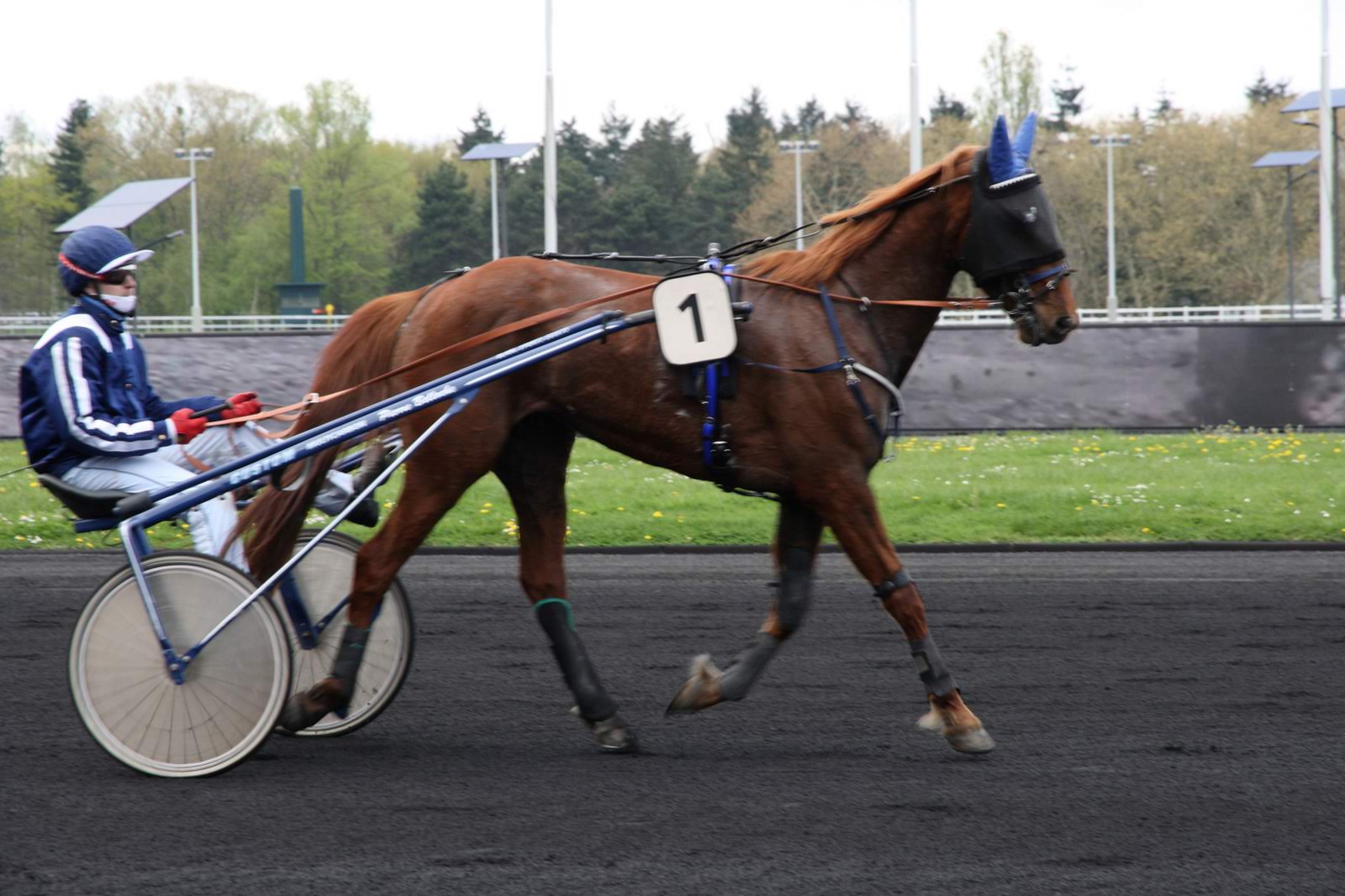 Hyppodrome de Vincennes 9/04/19