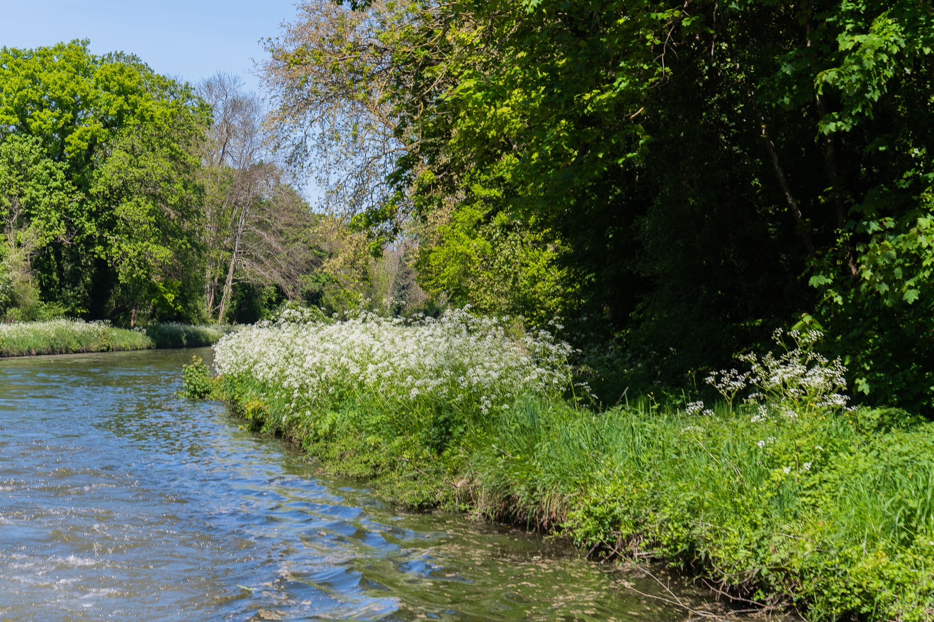 Croisiere sur le loing 03 05 2023 5 